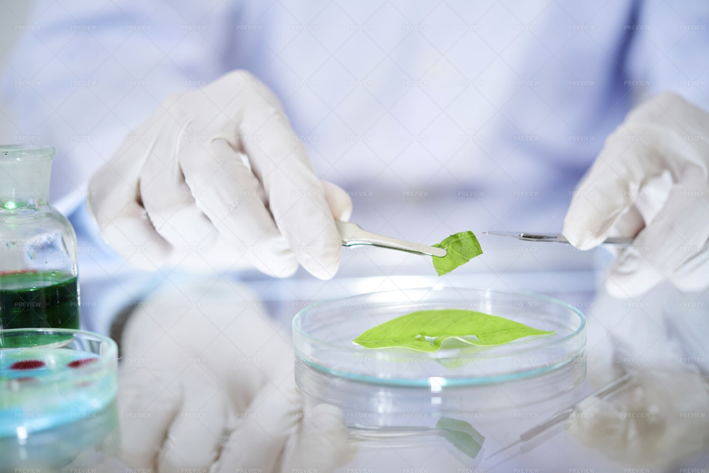 Scientist Conducting Research: Stock Photos