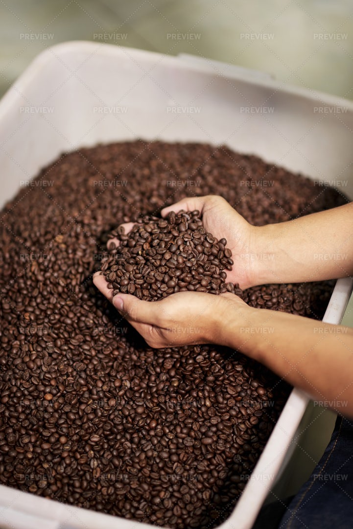Coffee Beans At Coffee Factory: Stock Photos