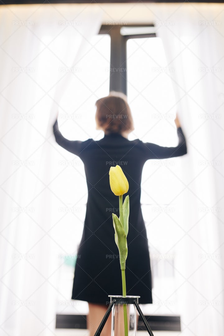 Tender Flower In Small Vase: Stock Photos
