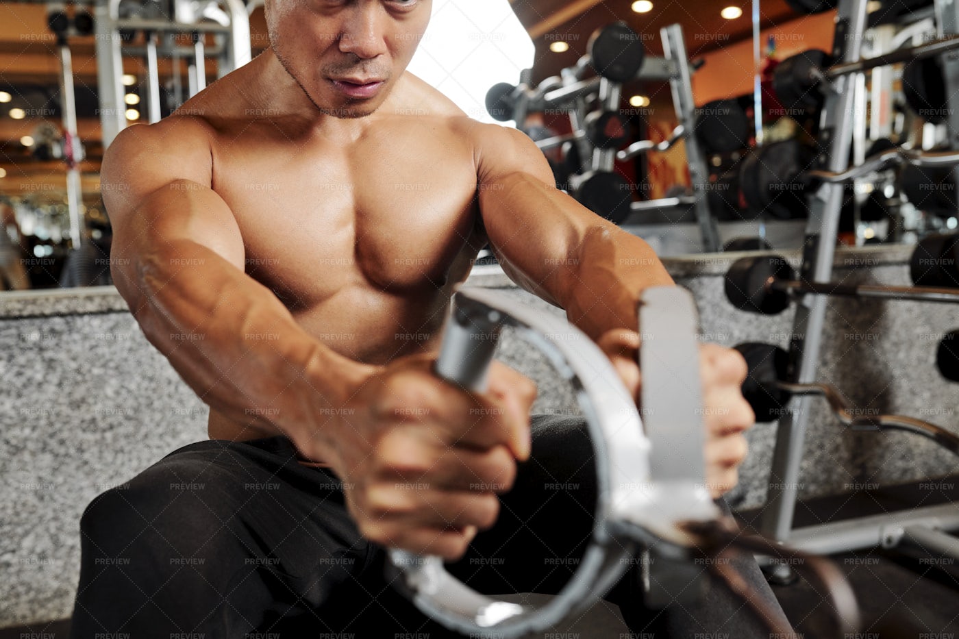 Man Building Muscles In Gym - Stock Photos | Motion Array