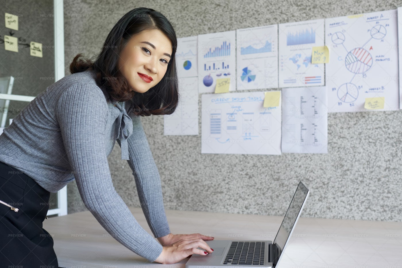 Businesswoman Using Laptop Computer: Stock Photos