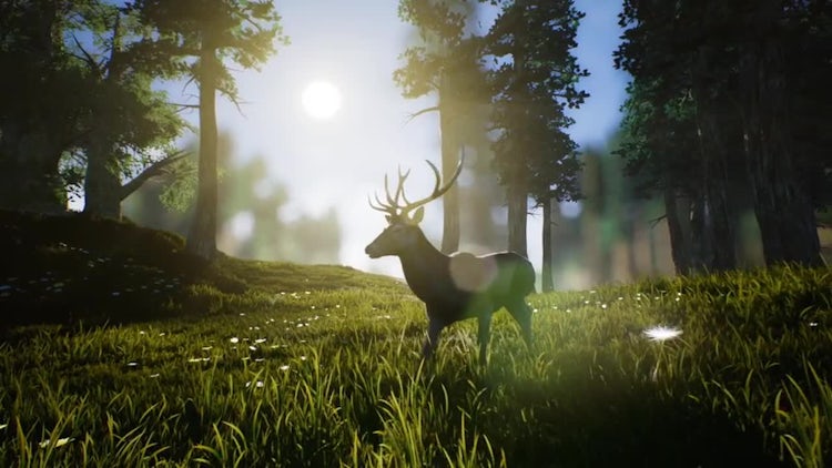 Lonely Deer 1: Stock Motion Graphics