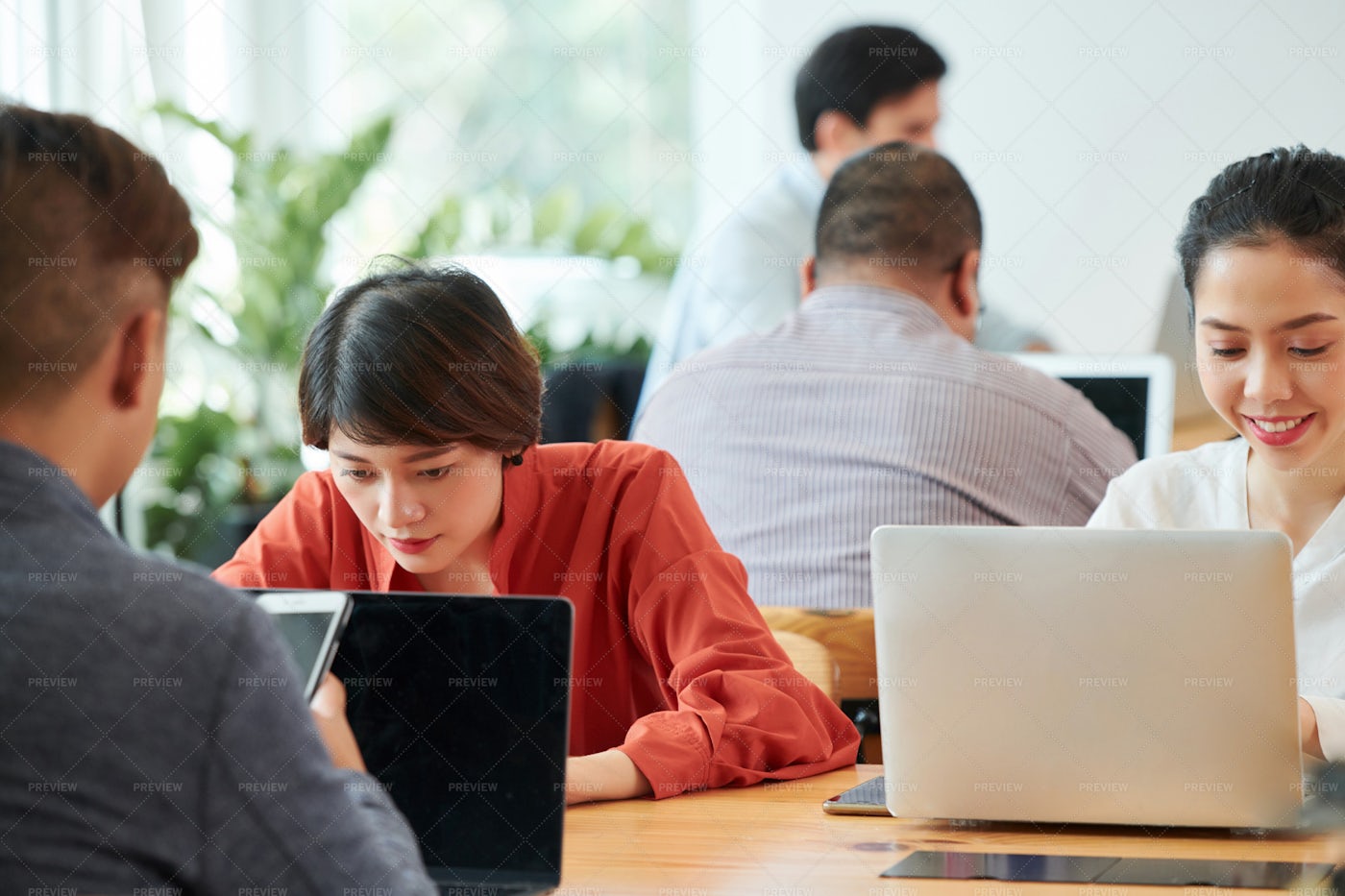 People Using Laptops At Office: Stock Photos