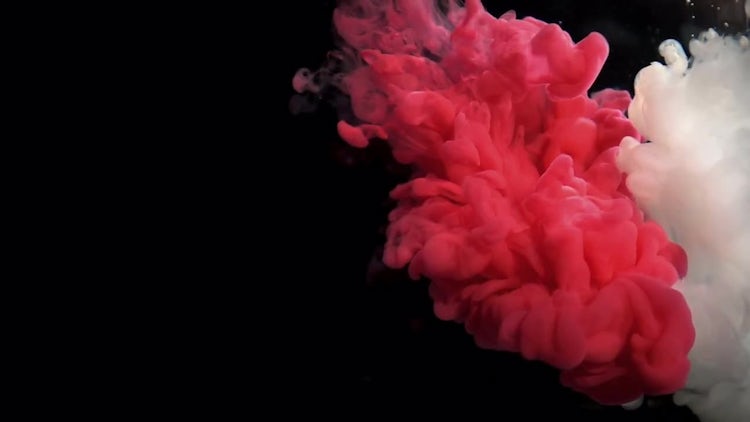 Paint In Water: Stock Video