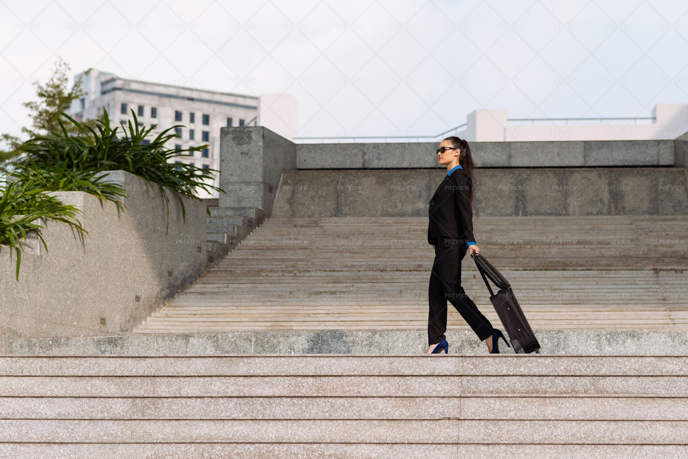 Business Lady On Stairs: Stock Photos