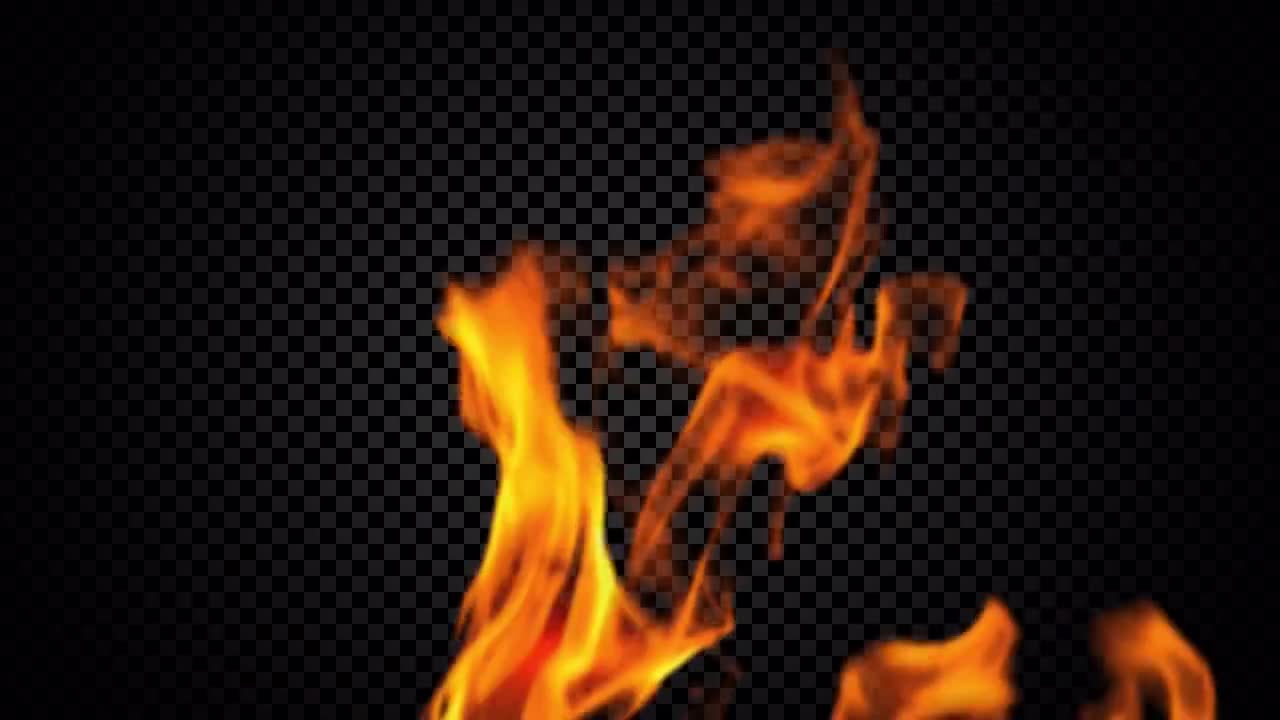 Fire Stock Motion Graphics Motion Array
