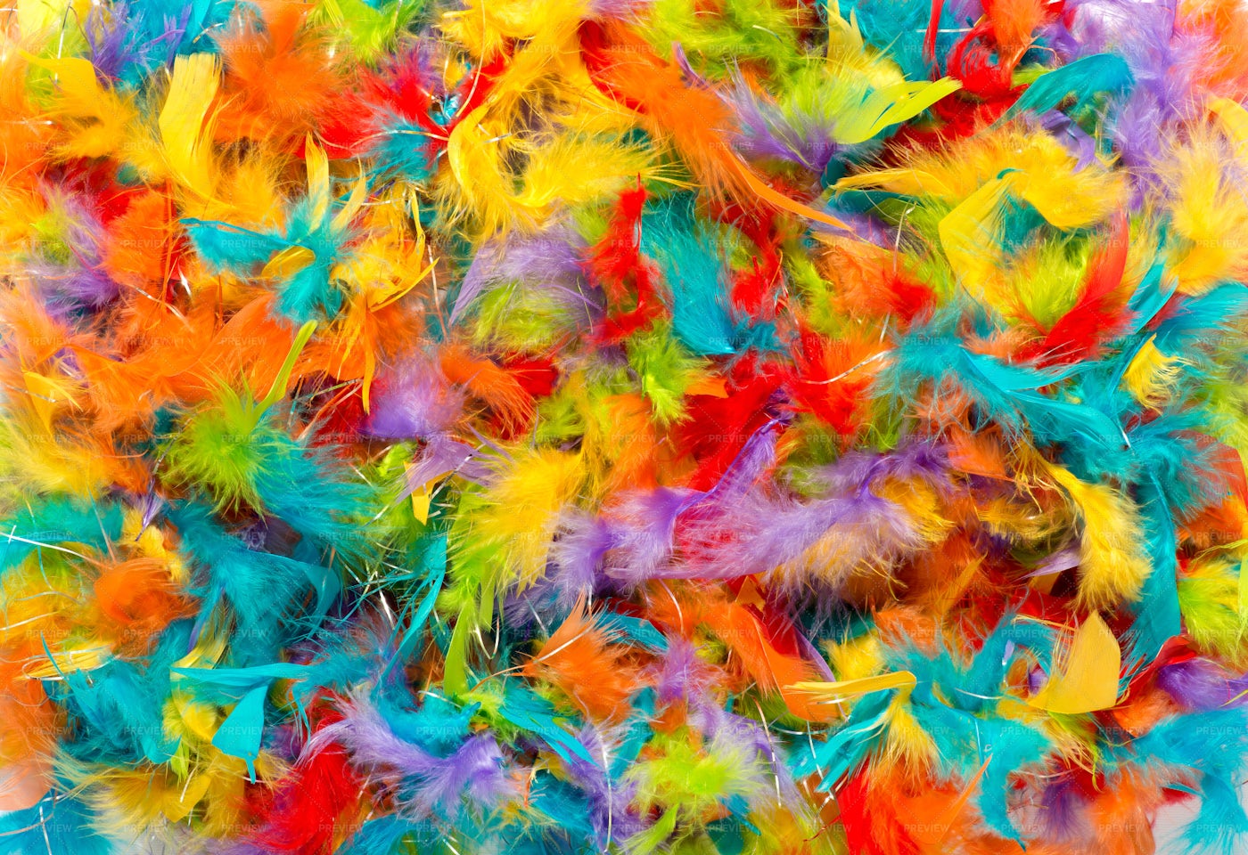 Colorful Feathers: Stock Photos