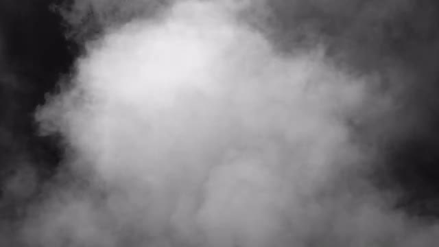 Fog: Stock Video