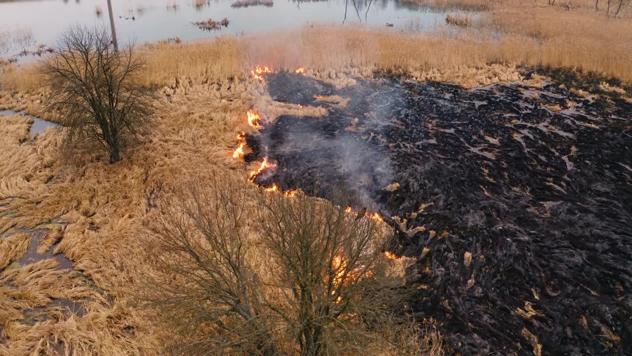 Spreading Wildfire Stock Video Motion Array