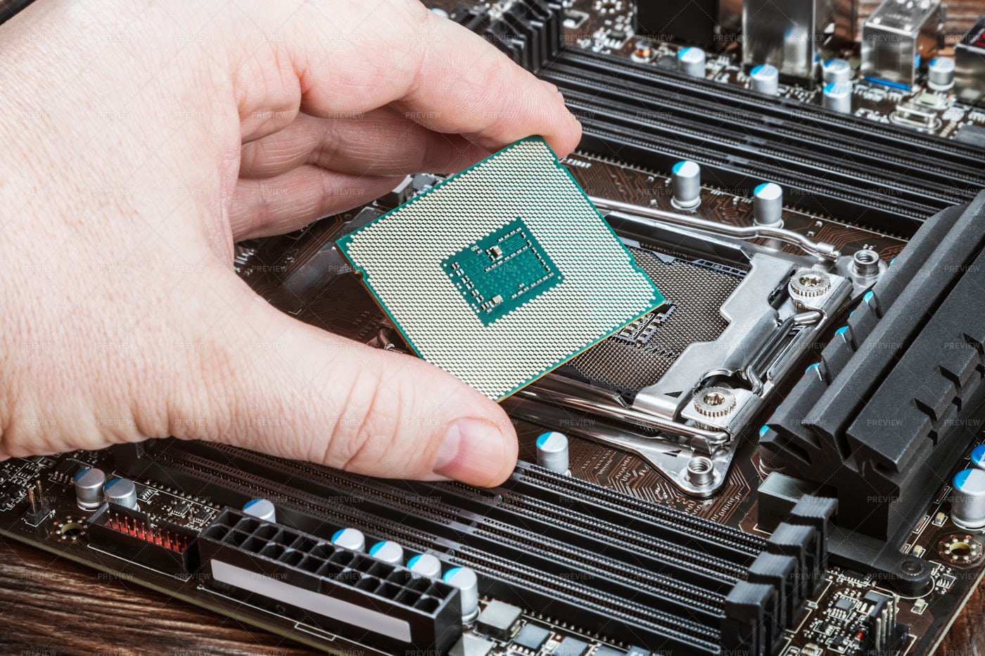 CPU In Hand: Stock Photos