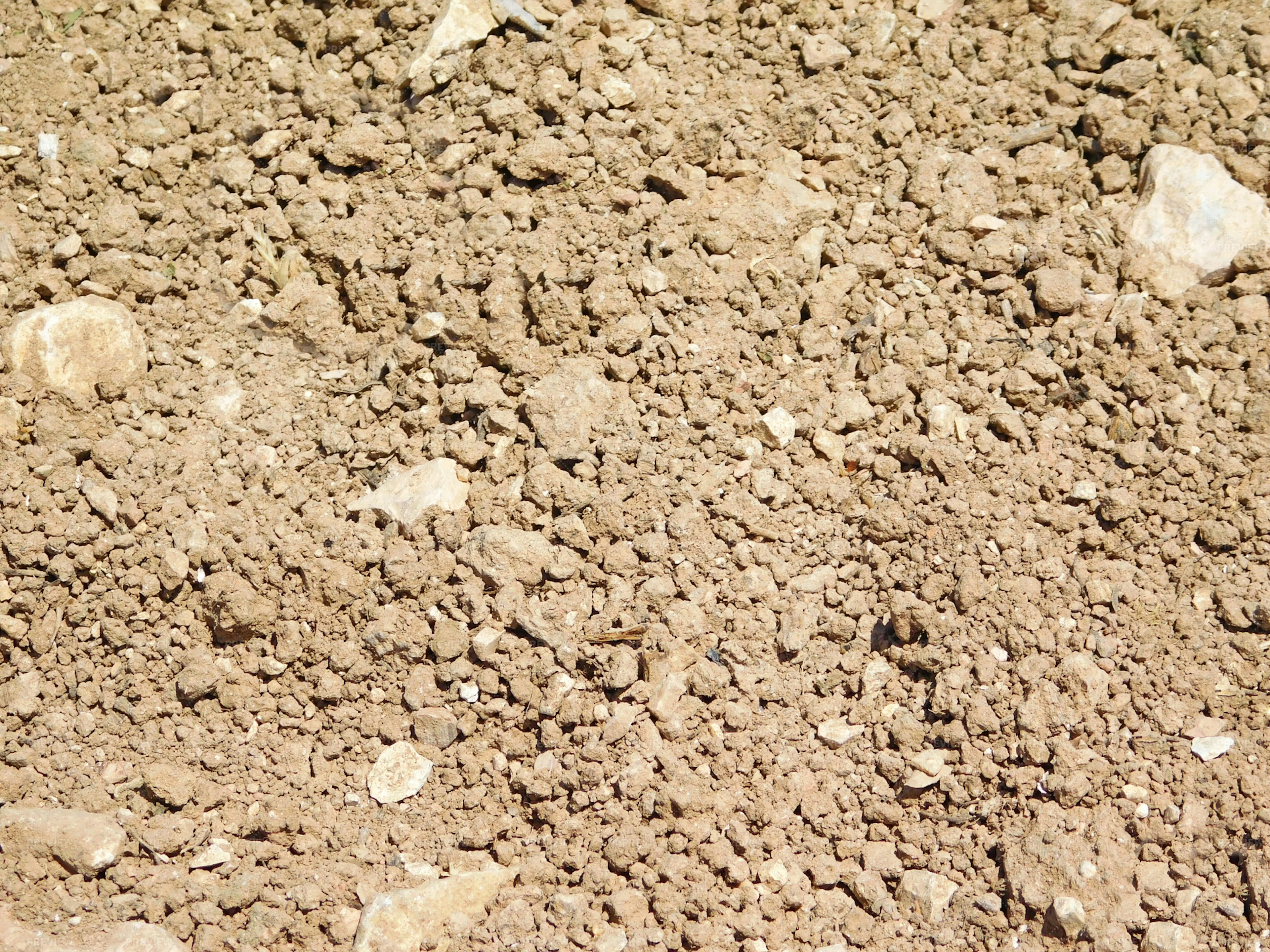 Dry Soil Texture - Stock Photos | Motion Array