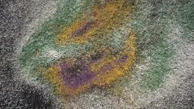 Colored Sand: Stock Video