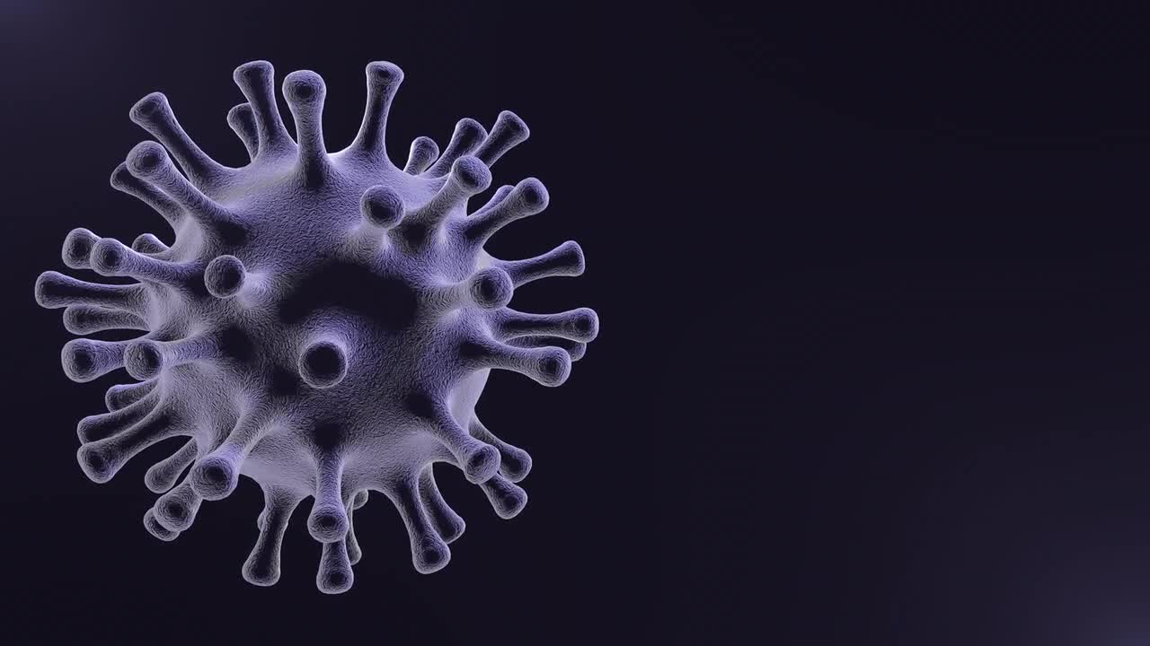 Virus In X-Ray Loop - Stock Motion Graphics | Motion Array