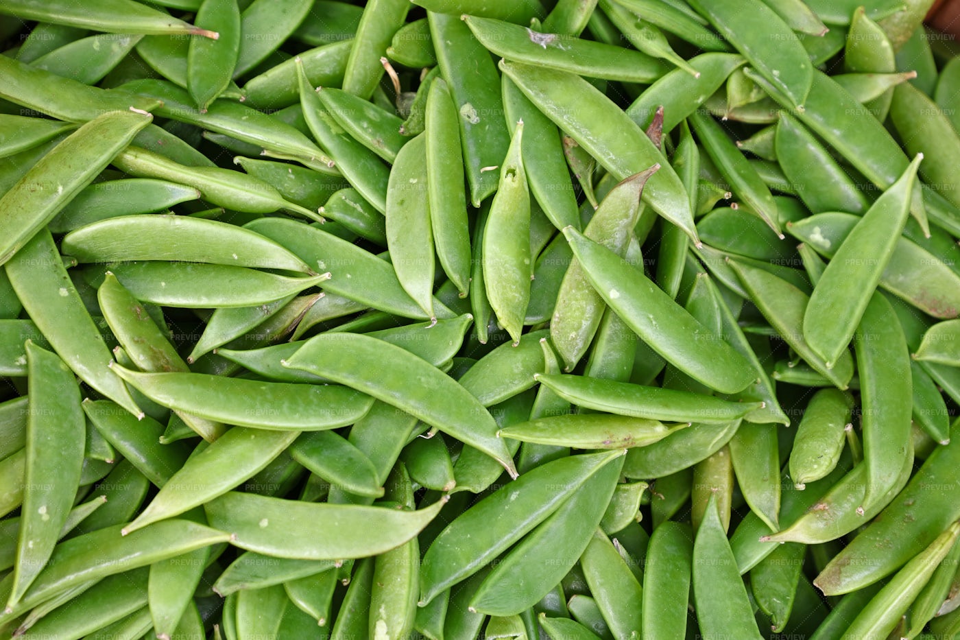 Green Pea Pods: Stock Photos