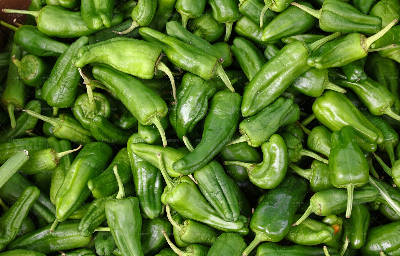 Green Padron Chili Pepper: Stock Photos