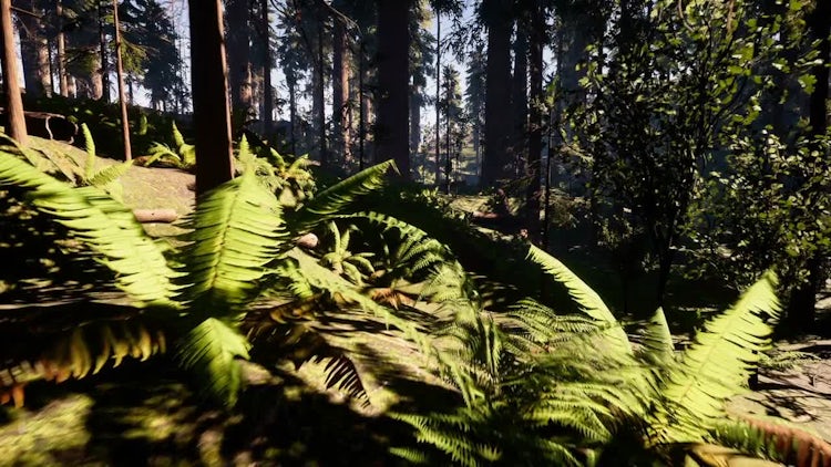 Wild forest: Stock Motion Graphics