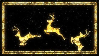 Christmas Reindeer : Motion Graphics