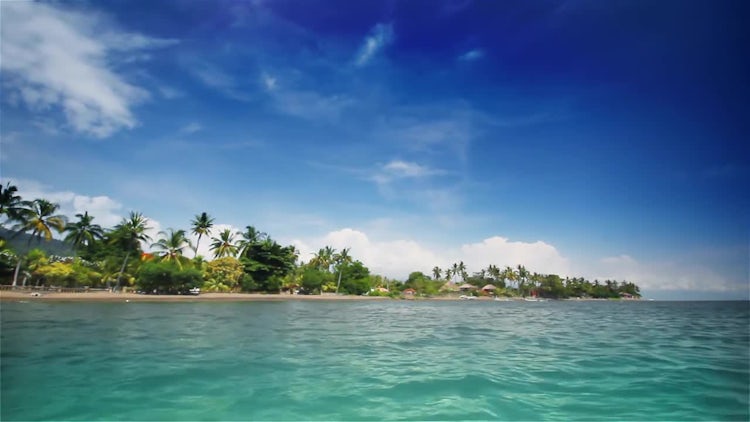 Tropical beach: Stock Video