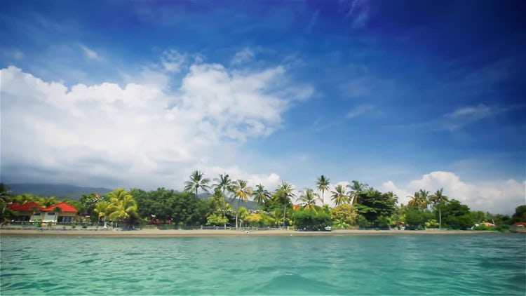 Tropical beach 2: Stock Video