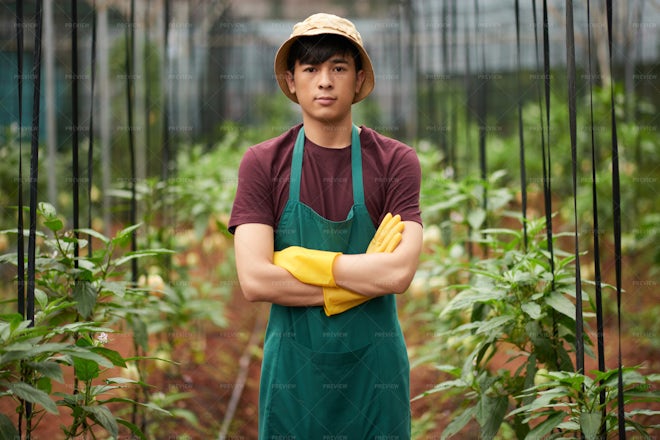 Agro-engineer - Stock Photos | Motion Array