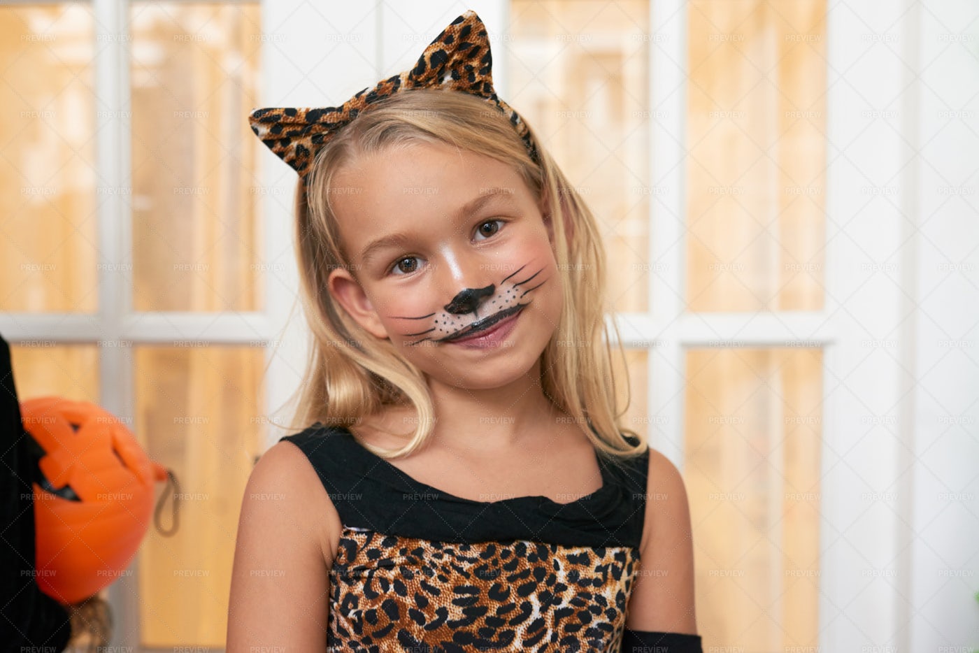 Girl In Halloween Cat Costume: Stock Photos