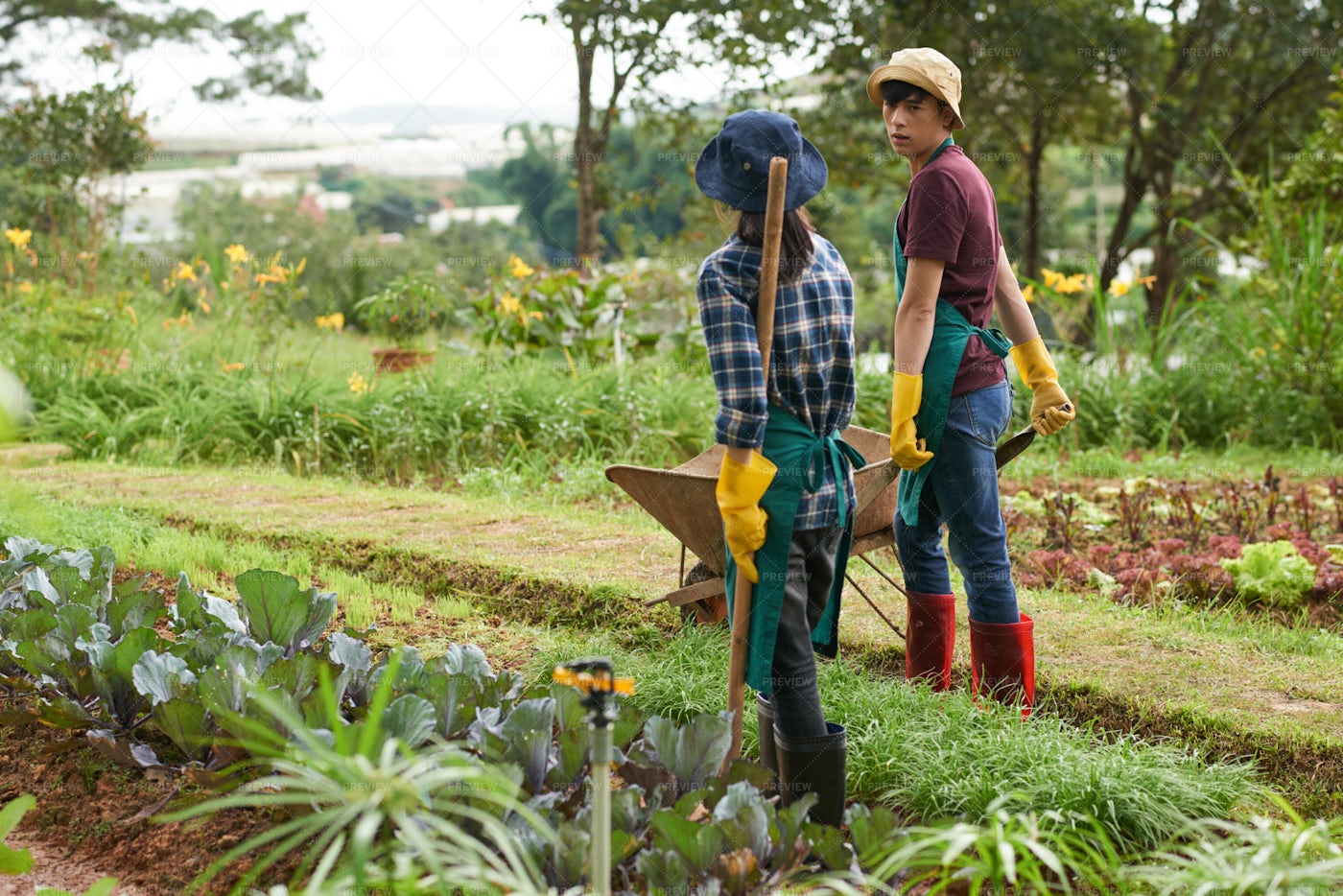Gardening Couple: Stock Photos