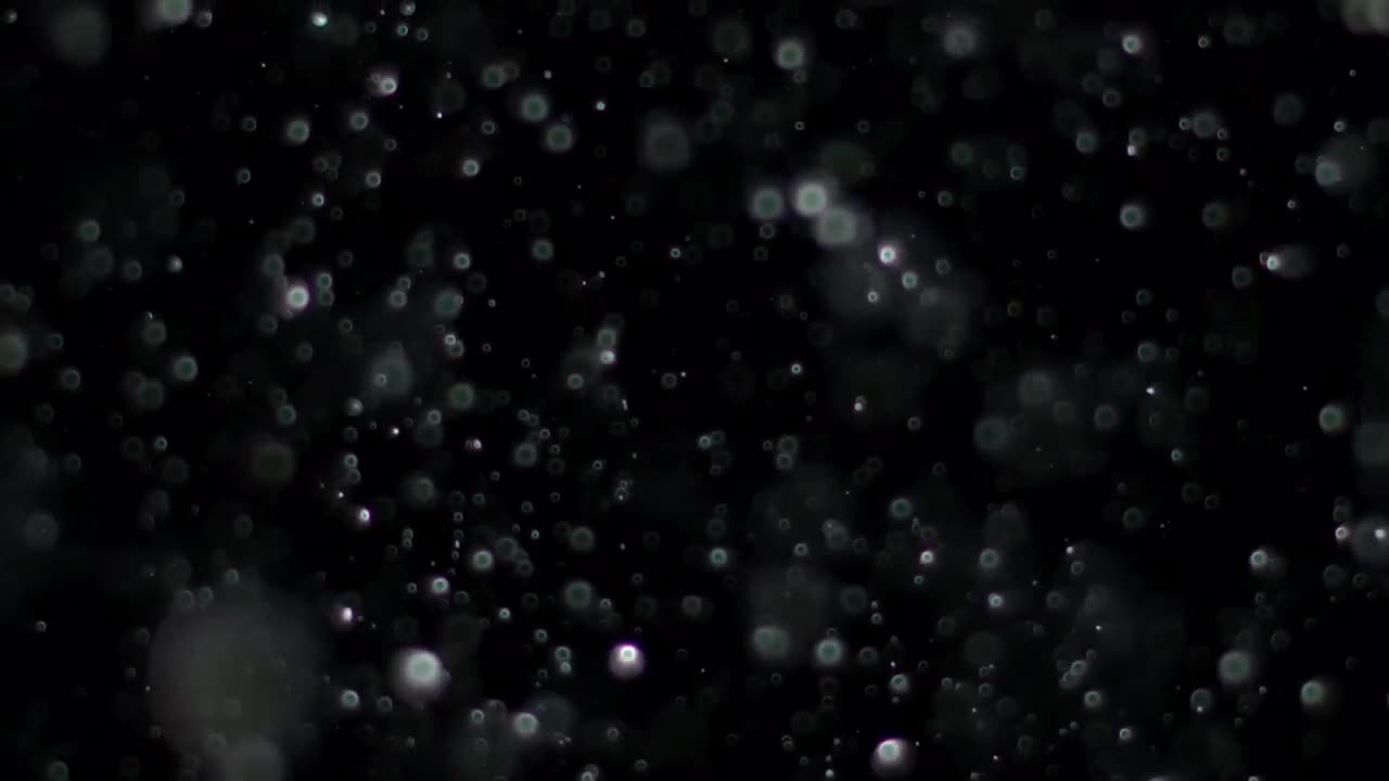 Particle - Stock Video | Motion Array