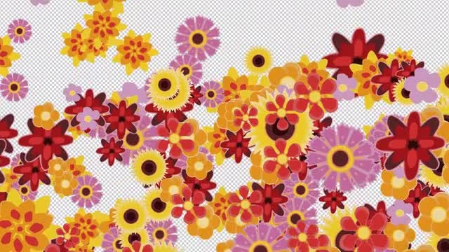 Flowers Transition 4K: Stock Motion Graphics