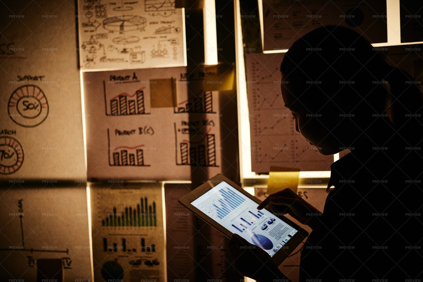 Examining Financial Chart: Stock Photos