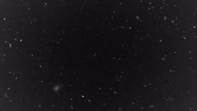 Snowfall: Stock Video