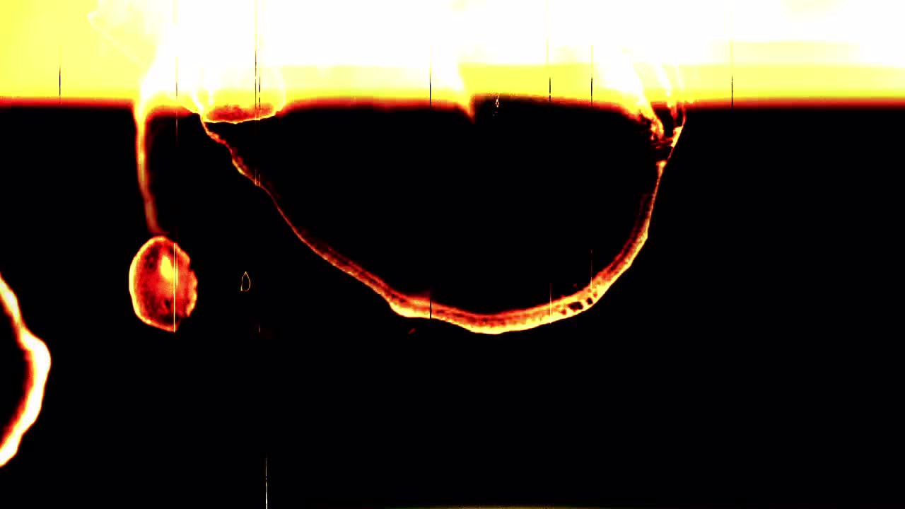 Film Damage Transitions Motion Graphics 53346 - Free download