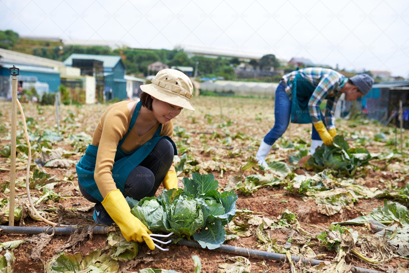 working-on-farm-stock-photos-motion-array