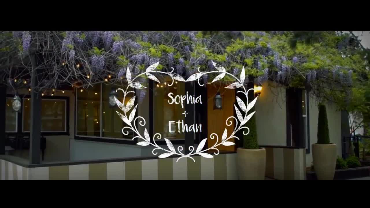 14 Wedding Titles After Effects Templates Motion Array
