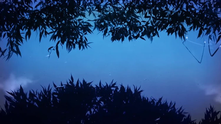 Silhouettes of Leaves: Stock Video