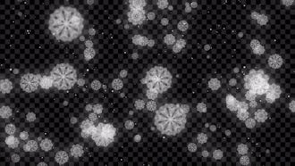 Snowflake Falling Winter: Motion Graphics
