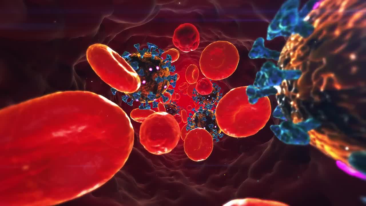 Virus In The Blood Stock Motion Graphics Motion Array