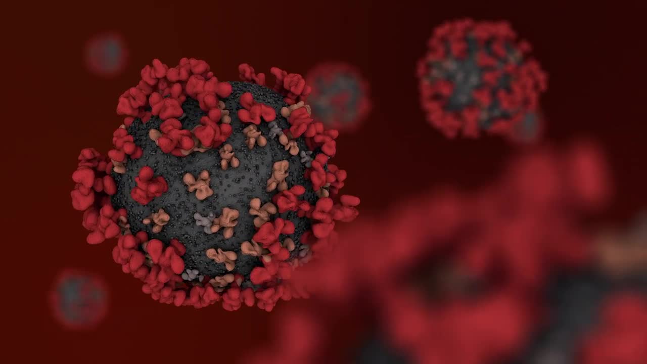 Looped Animation Of Viruses - Stock Motion Graphics | Motion Array