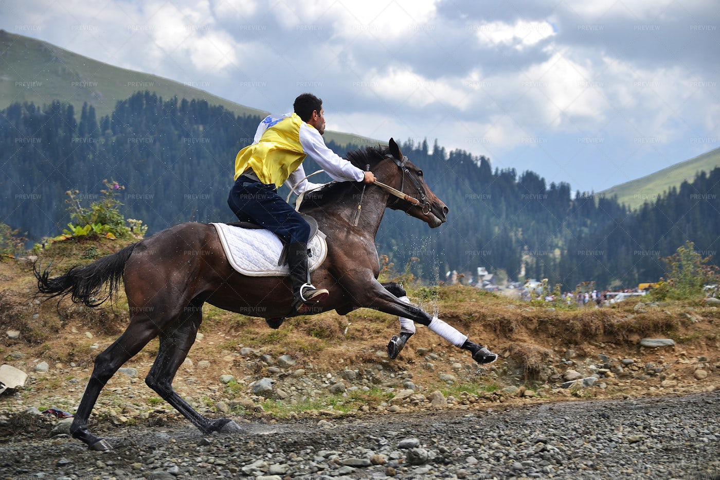 Horse Racing: Stock Photos