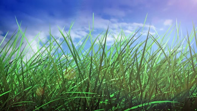Grass And Sky - Stock Motion Graphics | Motion Array
