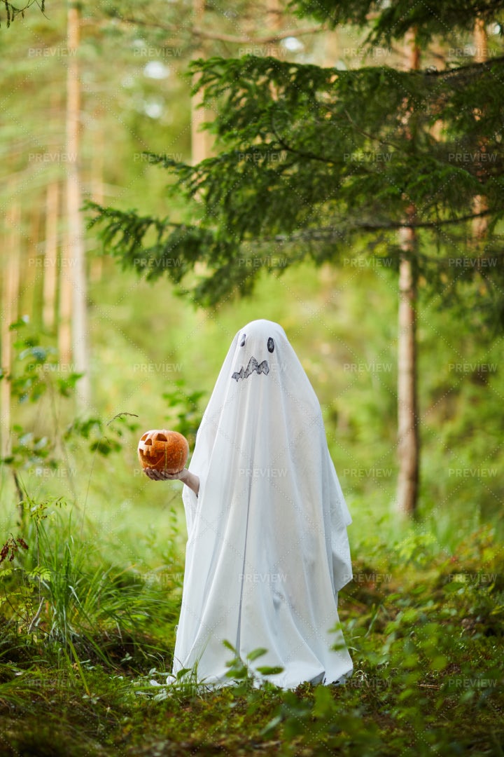 Ghost In Woods: Stock Photos