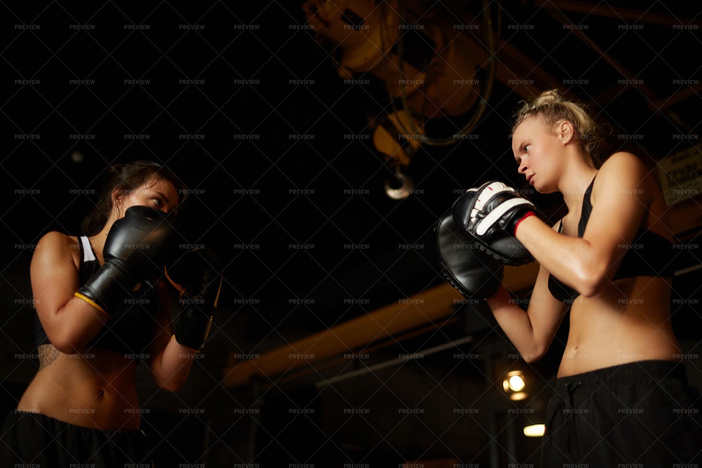 Women Boxing Low Angle: Stock Photos