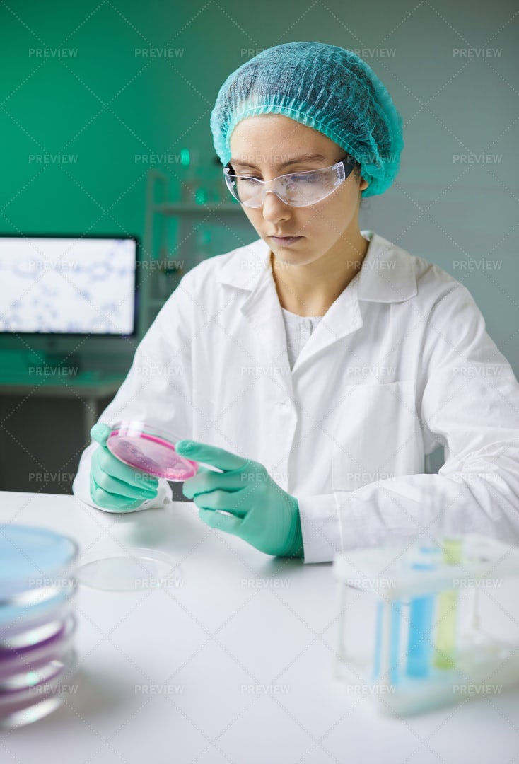 Female Technician In Pharmaceutical...: Stock Photos