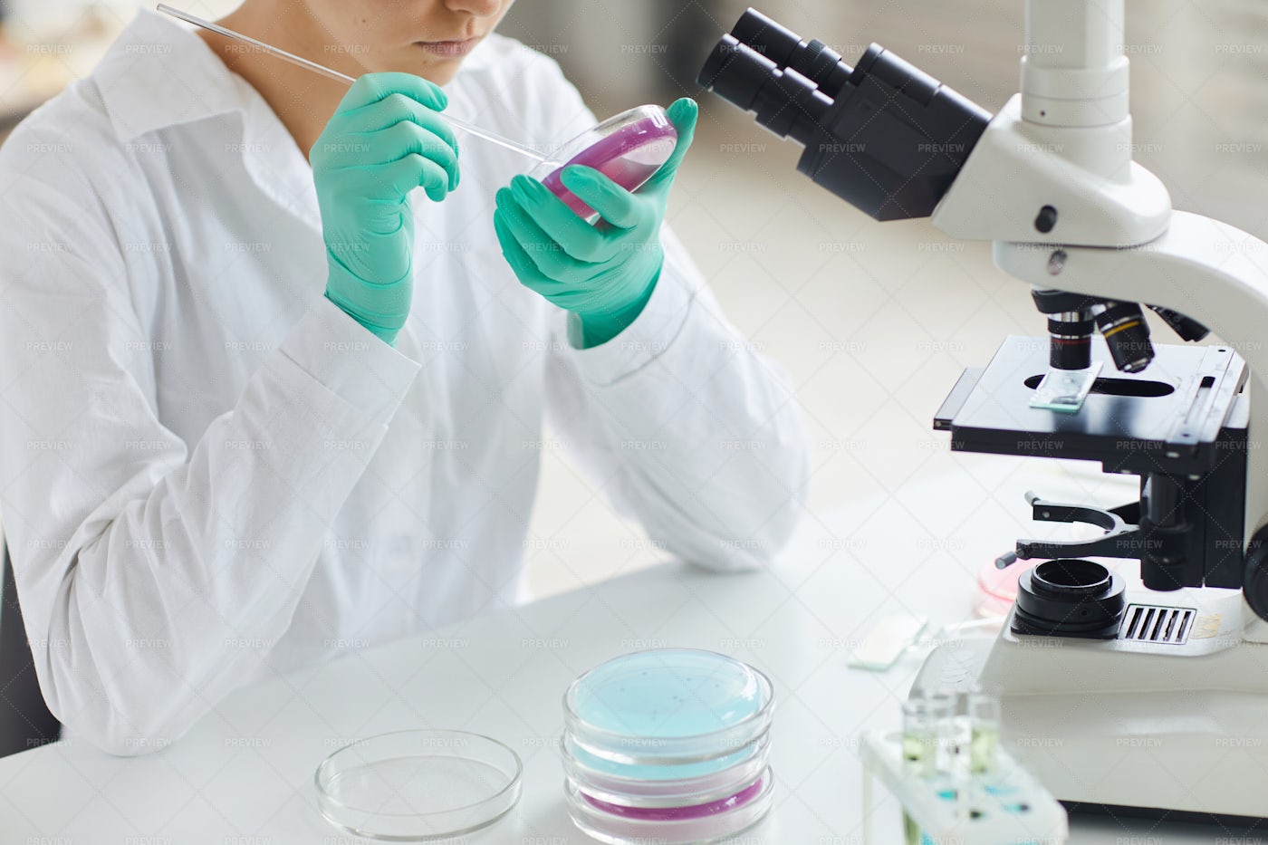 Research In Pharmaceutical Lab: Stock Photos