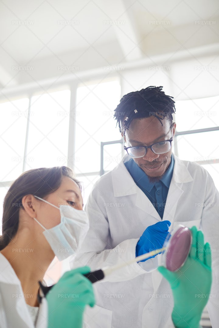 Scientists Working In Laboratory: Stock Photos