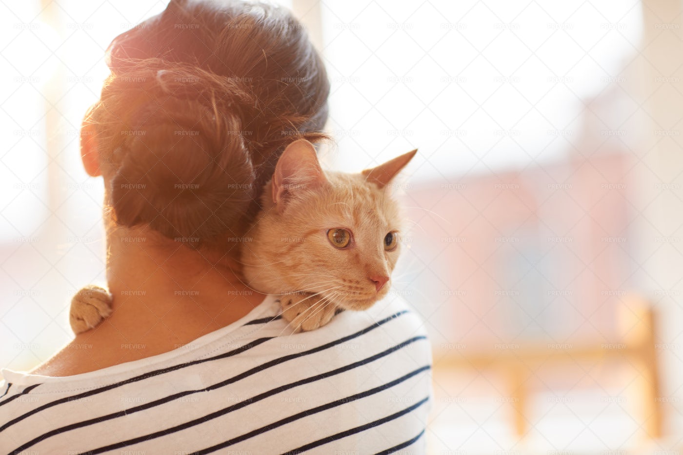 Woman Hugging Ginger Cat Back View: Stock Photos