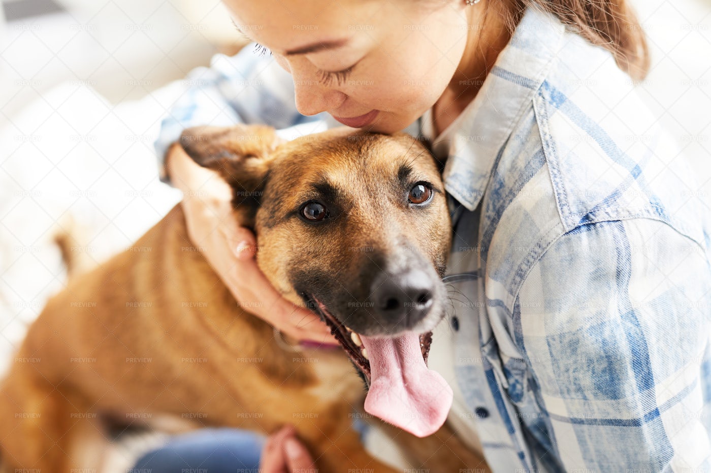 Young Woman Embracing Dog: Stock Photos