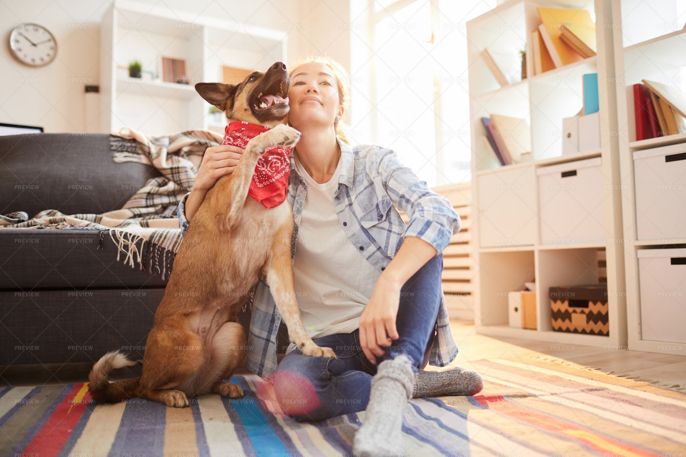 Woman With Shepherd Dog: Stock Photos