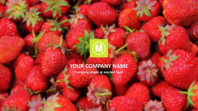 Flat Logo Opener: After Effects Templates