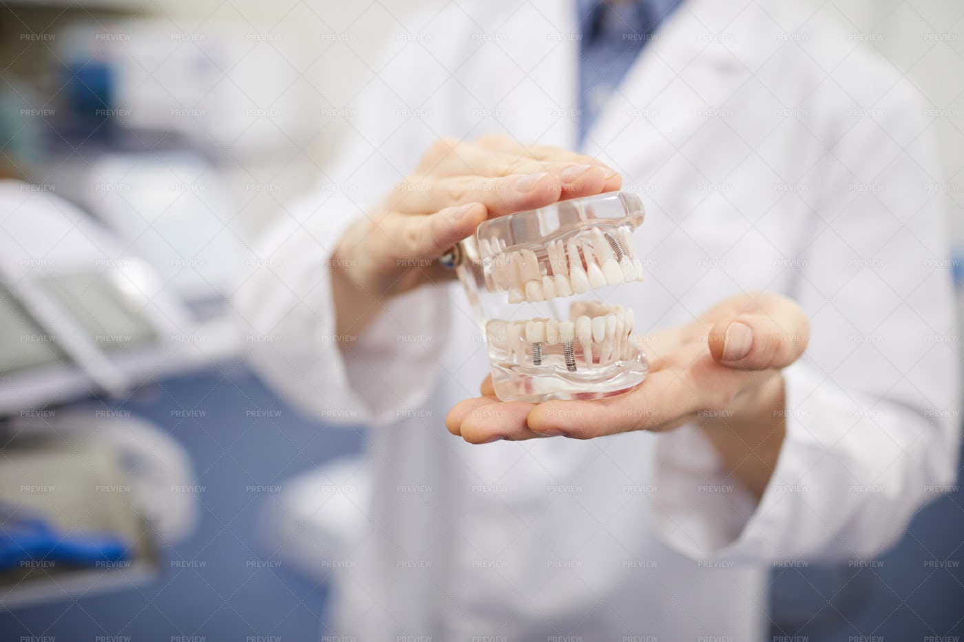 Dentist Holding Teeth Model: Stock Photos