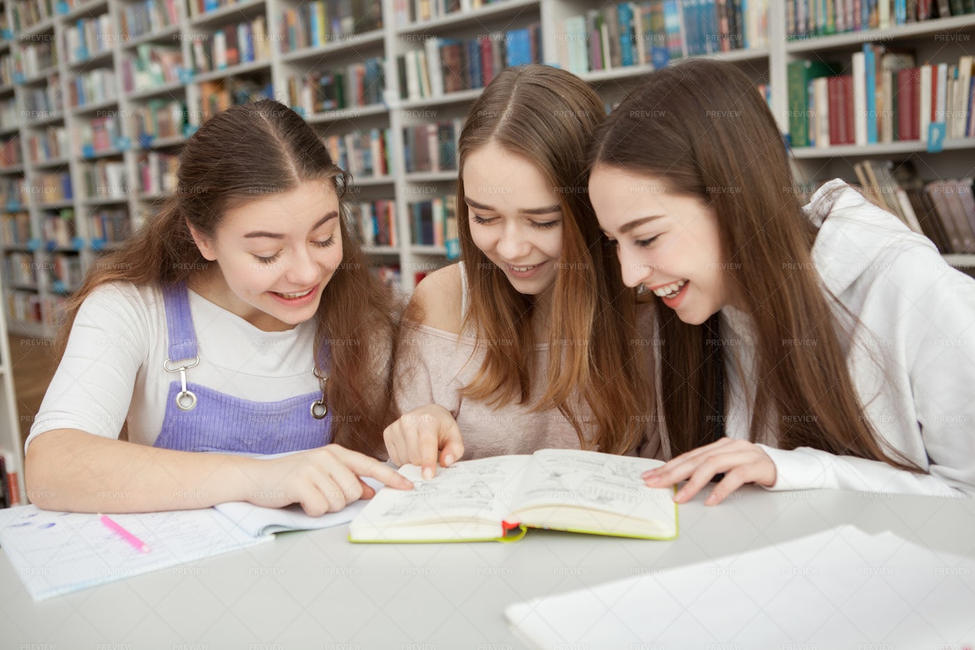 Teenagers Studying A Book: Stock Photos